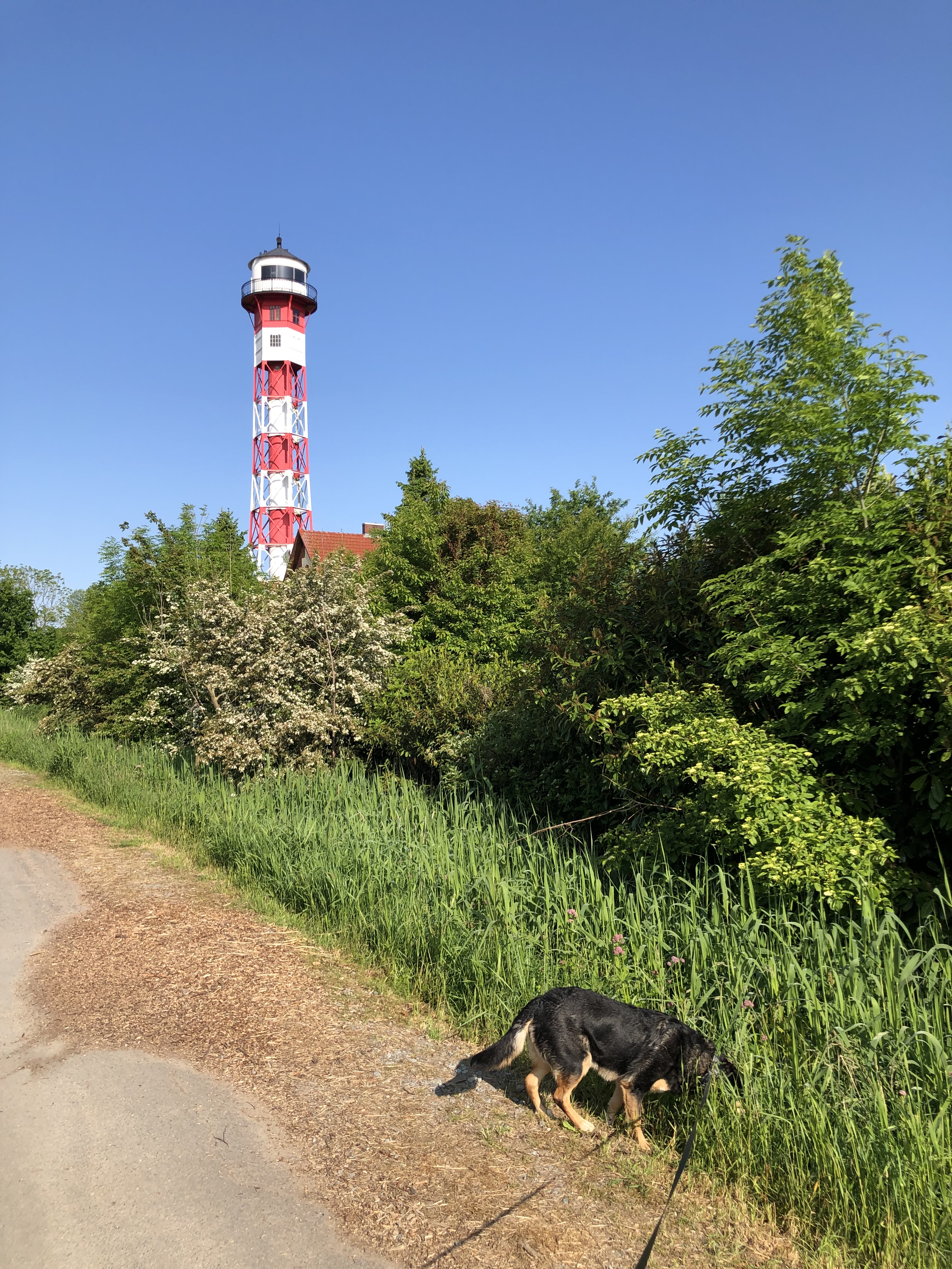Ausflug nach Krautsand
