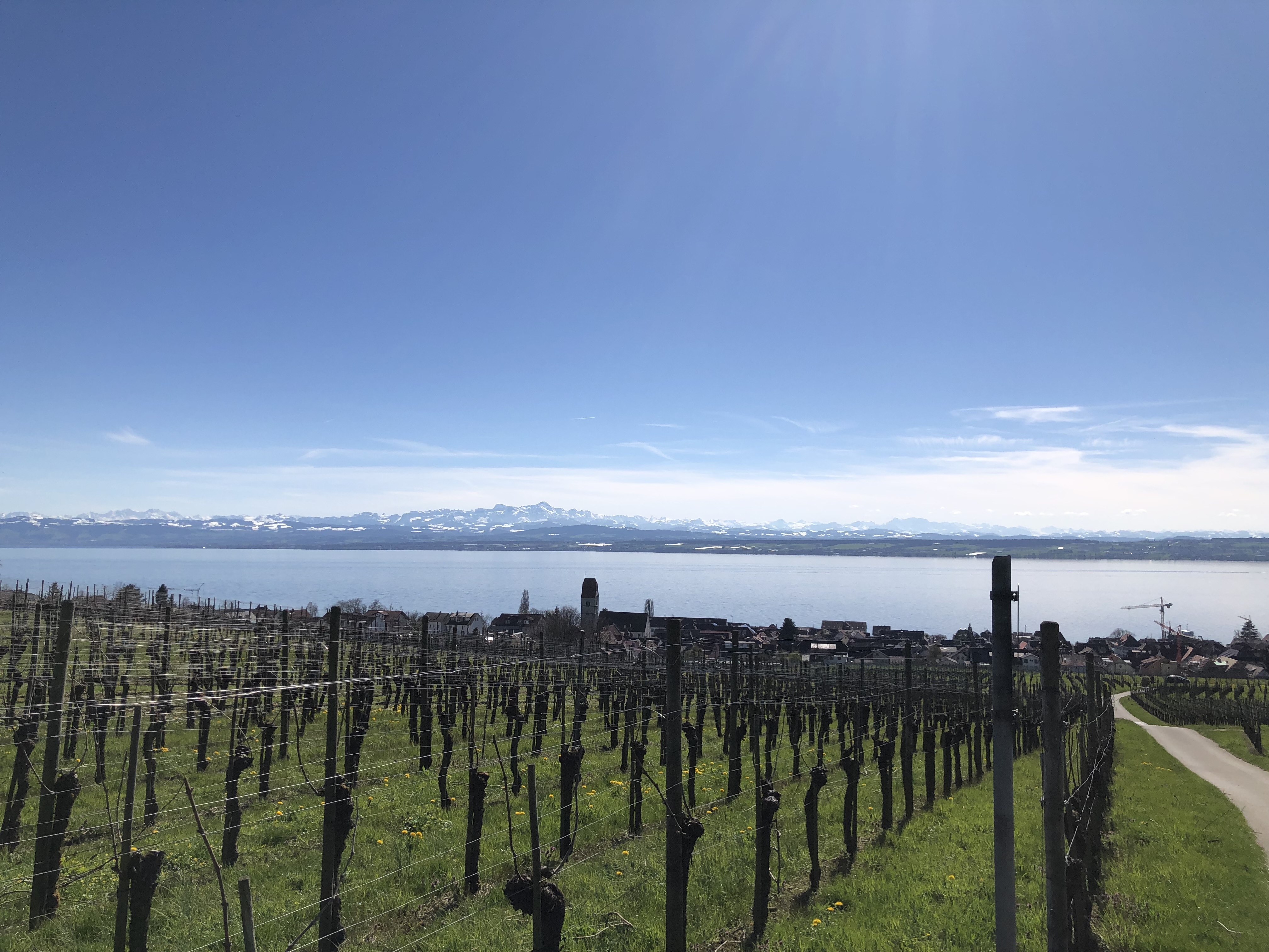 Frühjahr 2024: Bodensee