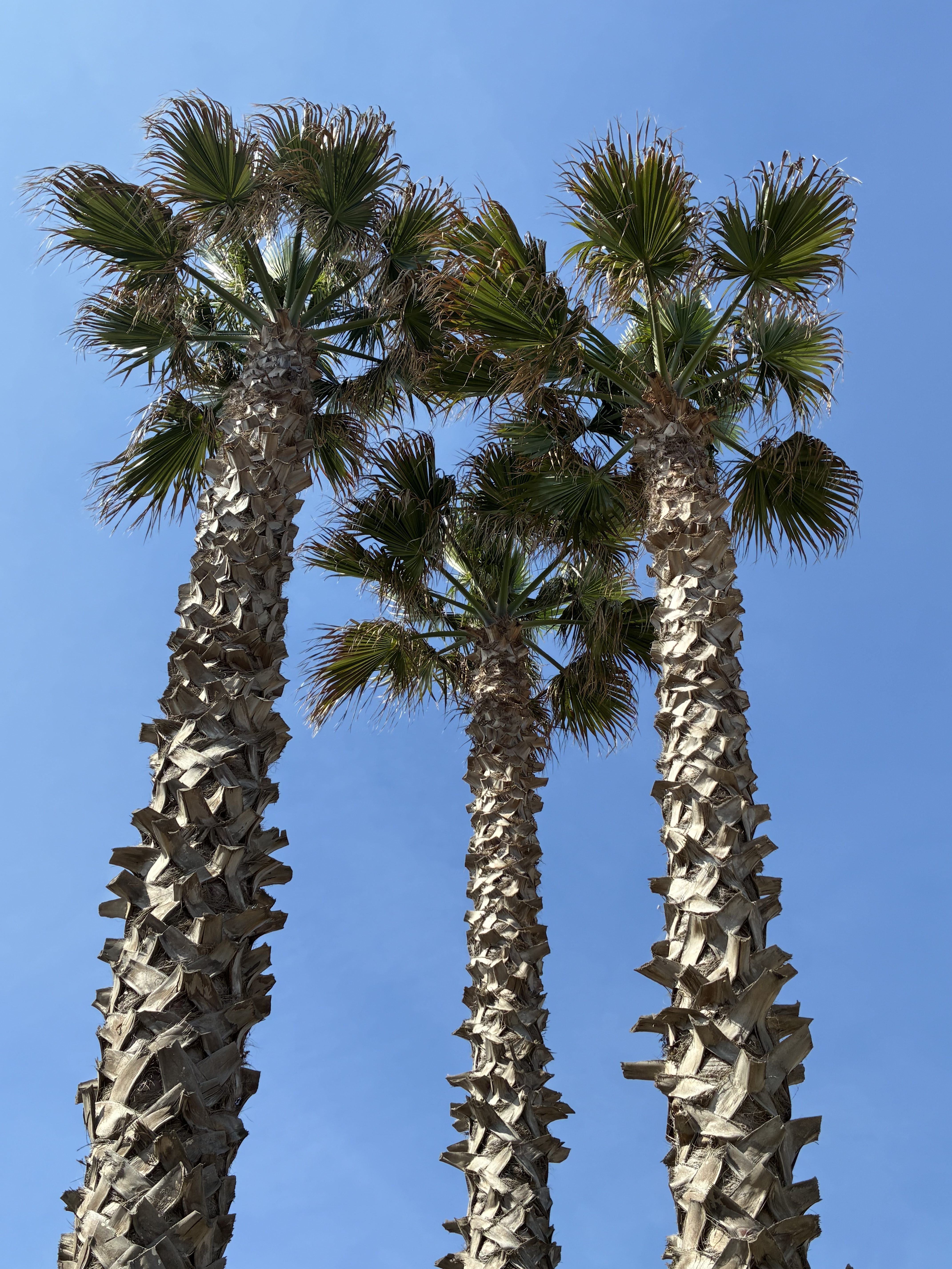 Frühjahr 2025: Südfrankreich